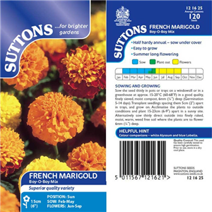 Marigold French Boy-O-Boy Mix